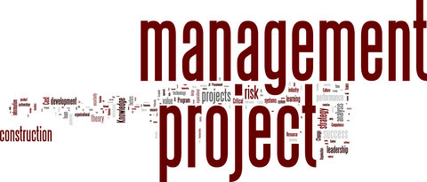 Wordle of all keywords published in International Journal of Project Management and Journal of Project Management 2003-2008