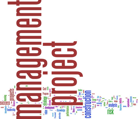 Wordle Keywords International Journal of Project Management 2003-2008