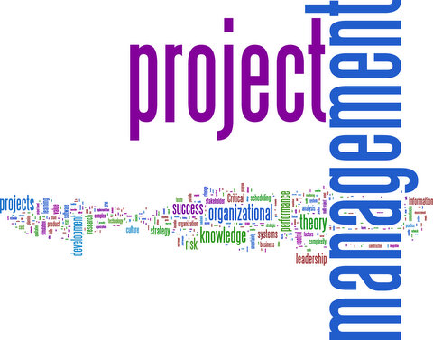Wordle of Keywords from the Journal of Project Management 2003-2007